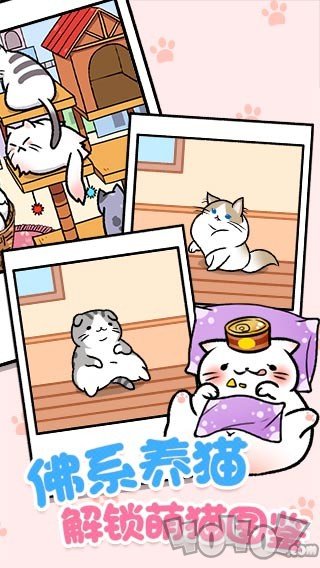 喵咪公寓