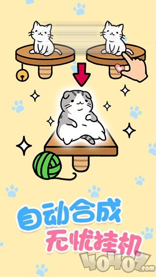 喵咪公寓