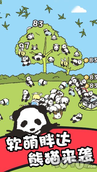 熊猫森林