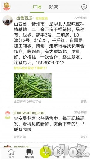 绿果网