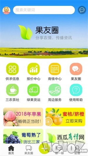 绿果网