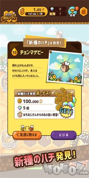 Bee Leader