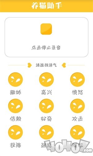养猫助手