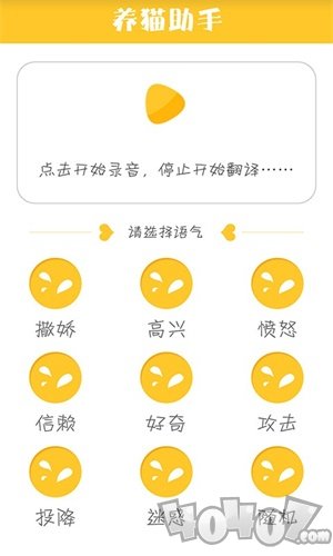 养猫助手