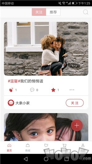 大象小家