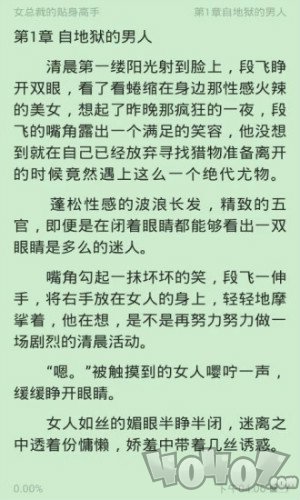 清言小说