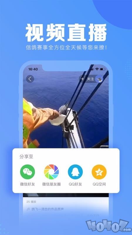 信鸽纵横