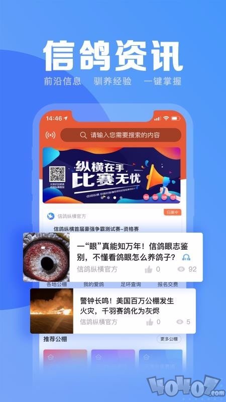信鸽纵横