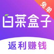 白菜盒子
