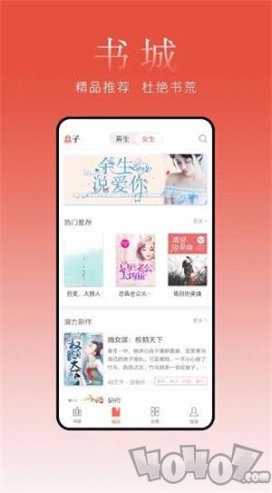盒子小说阅读器