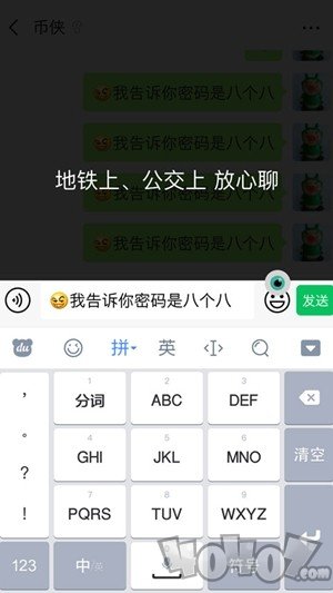 隐私蒙面侠