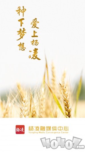 爱杨凌