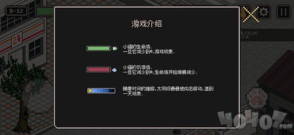 流浪猫的故事
