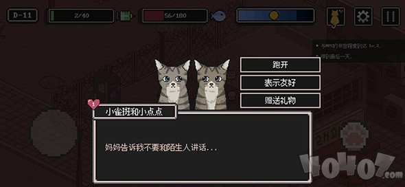 流浪猫的故事
