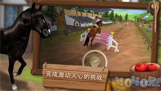 马匹旅馆