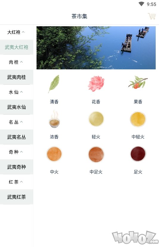 茶知了