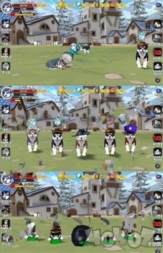 胖乎乎的哈士奇