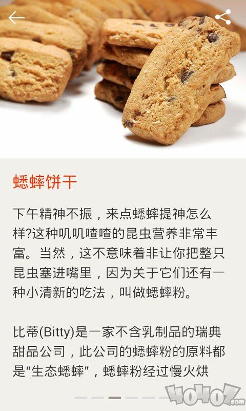 世界美食大全