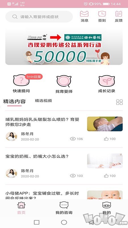 小母猪