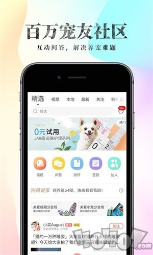 波奇宠物