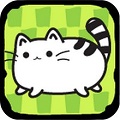 等一只猫咪
