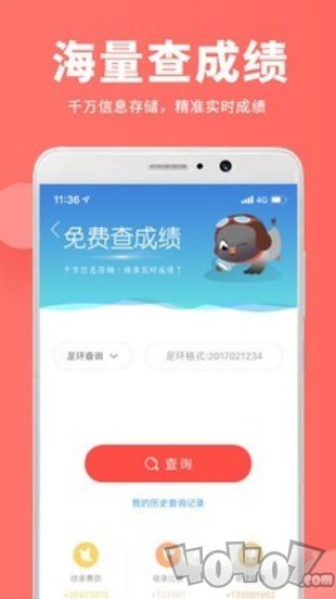 搜鸽网