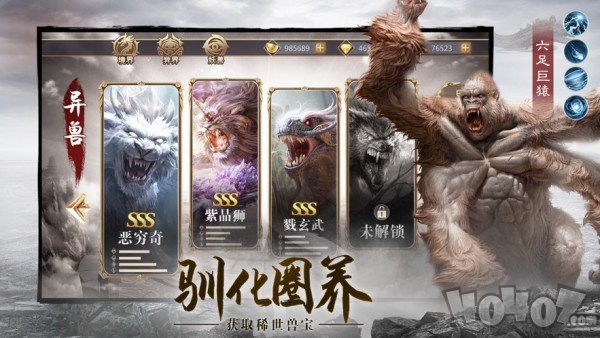 寻梦飞仙