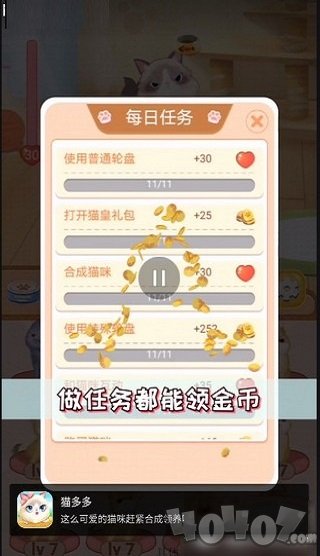 猫多多