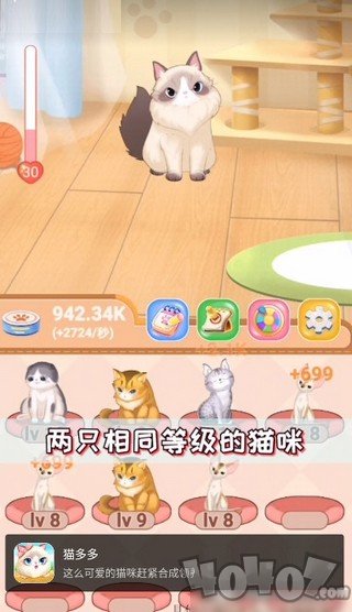 猫多多