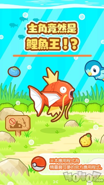 鲤鱼王