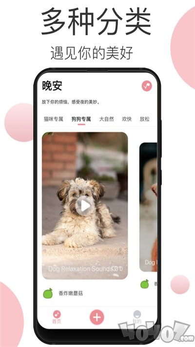 宠物音乐