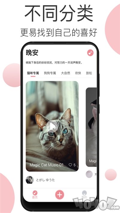 宠物音乐