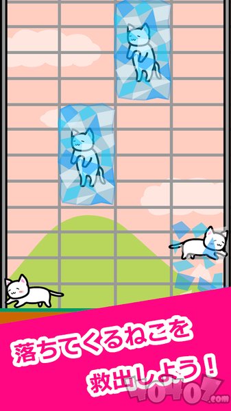 我和猫猫的生活