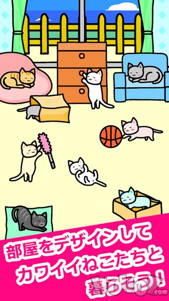 我和猫猫的生活