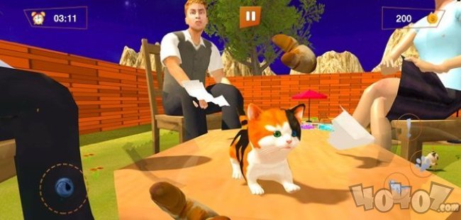 我的小猫小猫战士猫