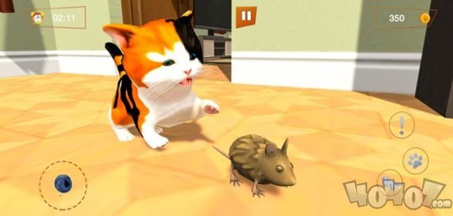我的小猫小猫战士猫