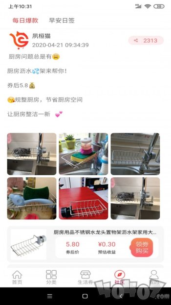 夙桓猫