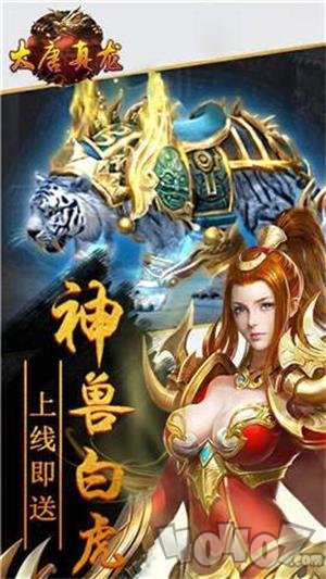 大唐真龙单职业