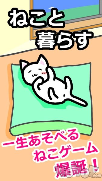 Life with Cats