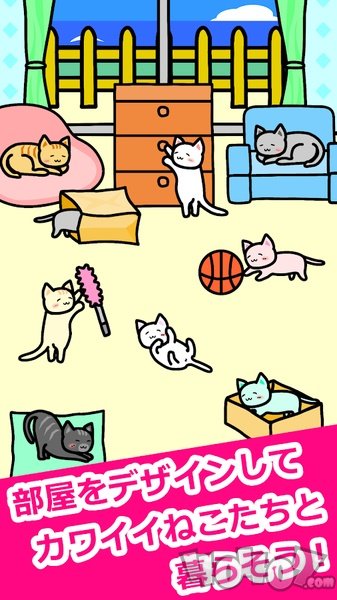 Life with Cats