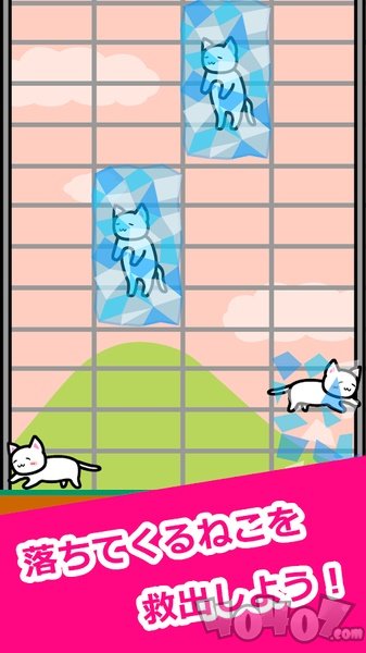 Life with Cats