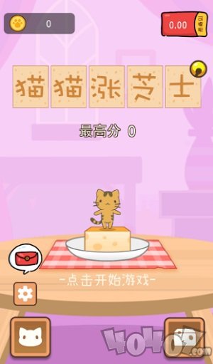 猫猫涨芝士