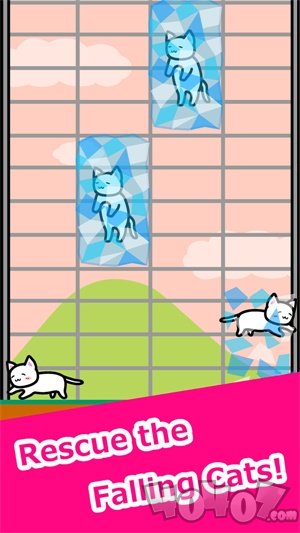 有猫生活