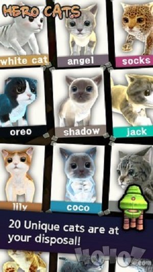 英雄猫猫