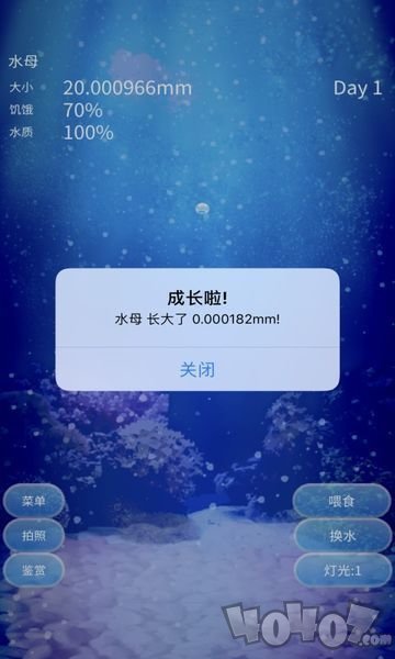 治愈的养成水母游戏