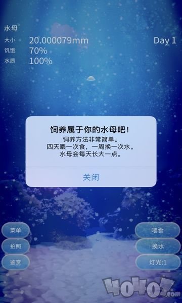 治愈的养成水母游戏