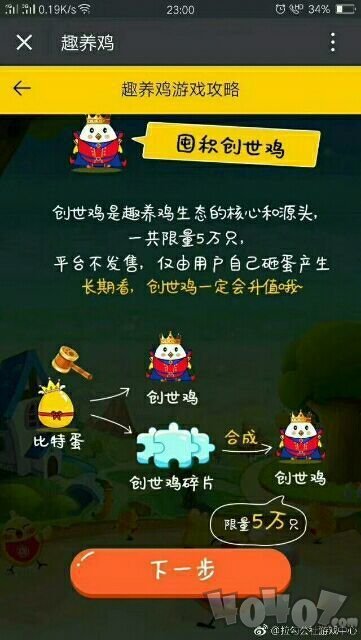 趣养鸡