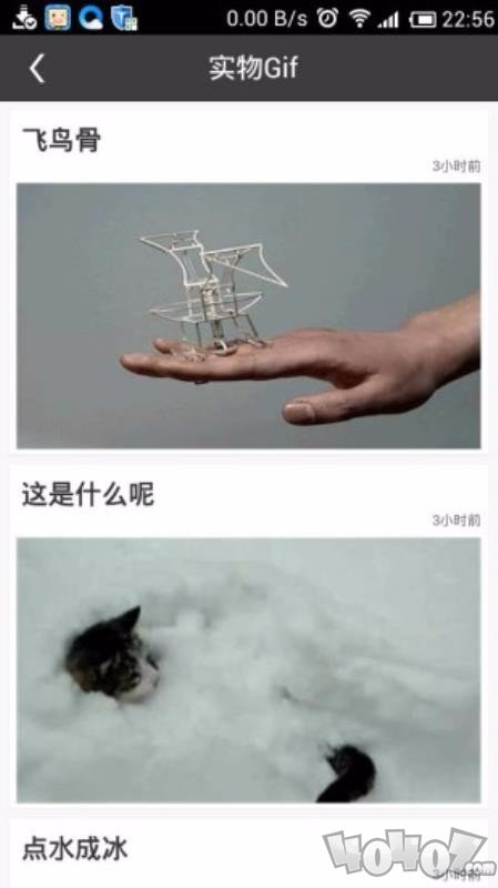 Gif动态一图