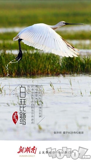 新湖南