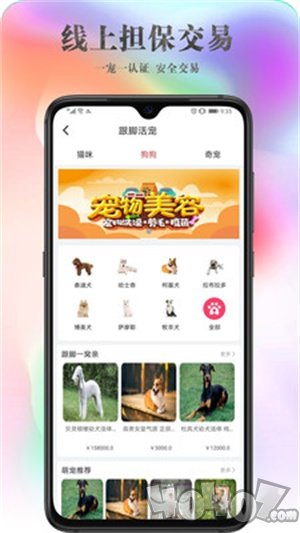 跟脚网